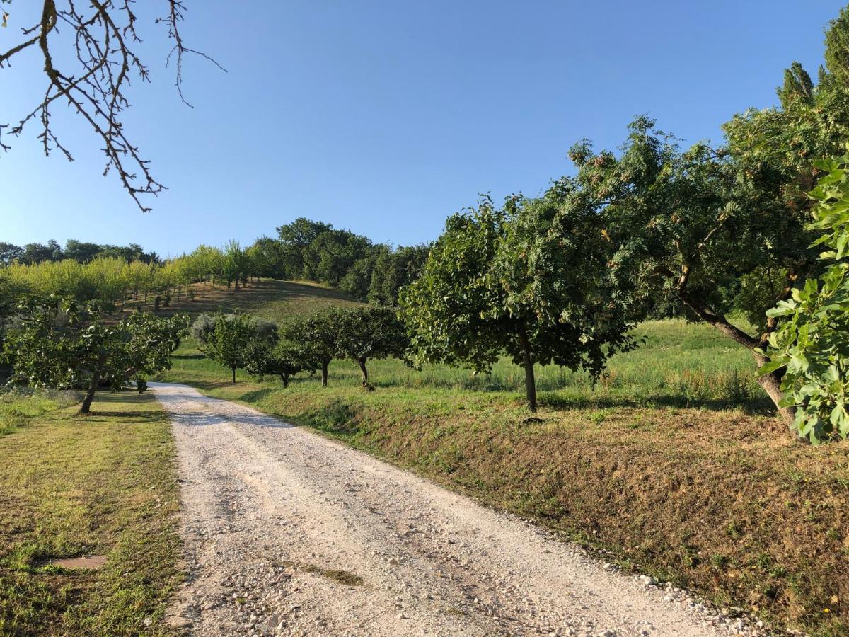 Dai Ventu Pesaro Exterior foto